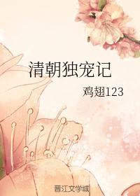 清朝独宠记封面