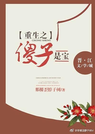重生之傻子是宝封面