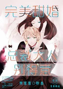 完美甜婚:总裁大人别得意封面