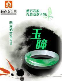 玉瞳封面