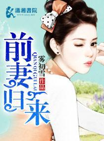 前妻归来封面