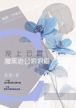 宠上云霄：腹黑老公狠狠爱封面