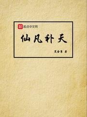 仙凡补天封面