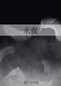 永夜封面