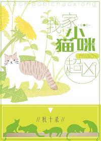 我家小猫咪超凶！[穿书]封面