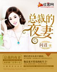 总裁的夜妻封面