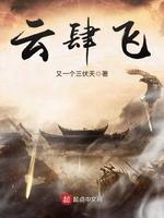 云肆飞封面