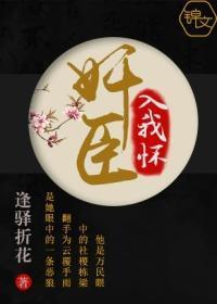奸臣入我怀封面
