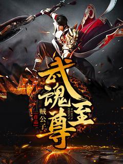 武魂至尊封面