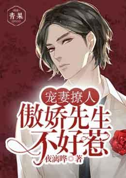 宠妻撩人:傲娇先生不好惹封面