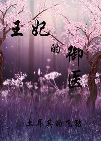 王妃的御医封面