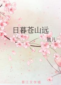日暮苍山远封面