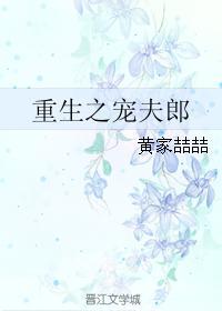重生之宠夫郎封面
