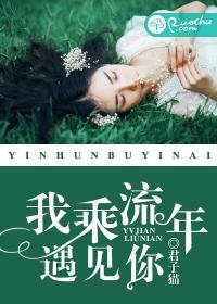 我乘流年遇见你封面