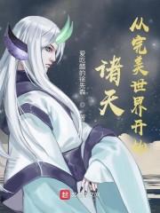 诸天：从完美世界开始封面