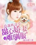 总裁枕边爱：甜心娇妻难驯服封面
