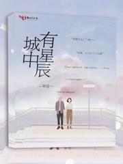 城中有星辰封面
