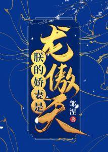 朕的娇妻是龙傲天(女穿男)封面