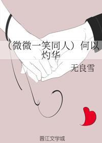 何以灼华封面