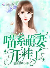 喵系萌妻开挂了封面