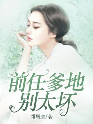 前任爹地别太坏封面