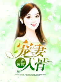 一夜缠绵：宠妻入骨封面