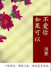 如果可以不爱你封面