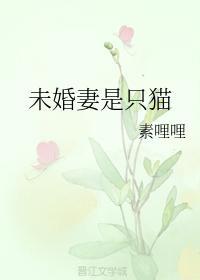 未婚妻是只猫封面