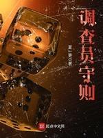 调查员守则封面