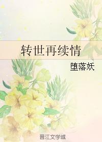 转世再续情封面