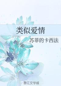 类似爱情封面