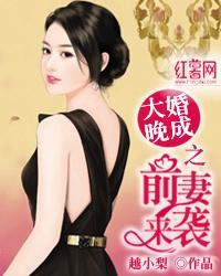 大婚晚成之前妻来袭封面