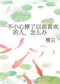 一不小心撩了以前喜欢的人，怎么办封面