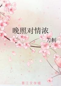 晚照对情浓封面