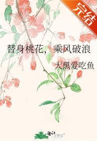 替身桃花,乘风破浪封面