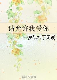 请允许我爱你封面