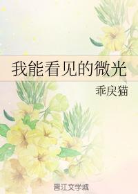 我能看见的微光封面