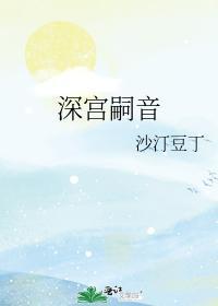 深宫嗣音封面