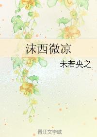 沫西微凉封面