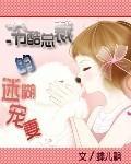 冷酷总裁的迷糊宠妻封面