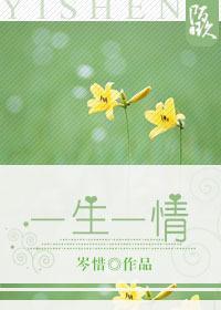 一生一情封面