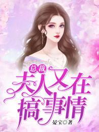 总裁，夫人又在搞事情！封面