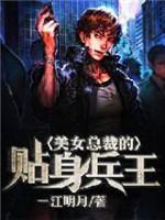 美女总裁的贴身兵王封面