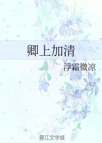 卿上加清封面
