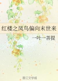 红楼之凤鸟偏向末世来封面