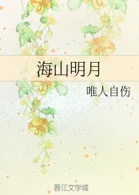 海山明月封面