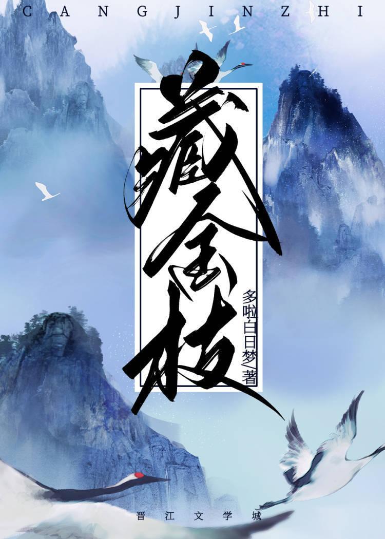 藏金枝封面