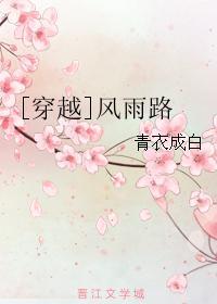 [穿越]风雨路封面