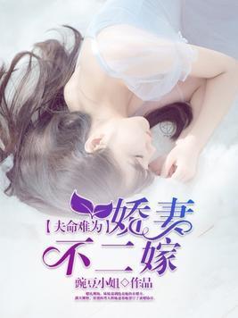 神秘老公请揭面洛天心顾裔中封面