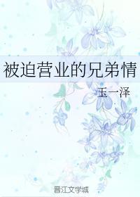 被迫营业的兄弟情封面